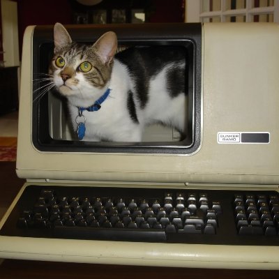 Vintage computers, CRTs, terminals, interesting retro tech. And cats.