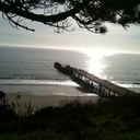 daisy sousa brooks - @daisybrooks - Twitter