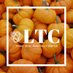 LTC_copywriting (@LTC_copywriting) Twitter profile photo