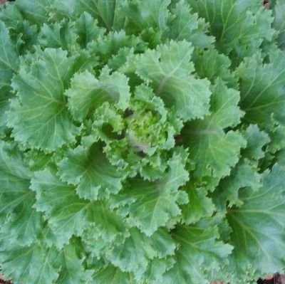 mY8jHYMgEW7WkSE's profile picture. 腐界の奥の奥の森に図書館作ってそこに棲みたい
バナーと固ツイの画像はいただきもの
面倒からは逃げる一択