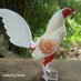 gallo canelo (@rolando94398712) Twitter profile photo gallo canelo (@rolando94398712) Twitter profile photo