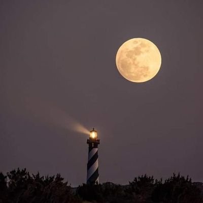 angulo_abdon's profile picture. 