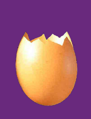 barneyros's profile picture.