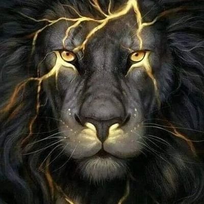 canfranklin681's profile picture. Heartbeat of Htfd