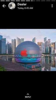 Kayodes99601364's profile picture. #Agruculturists, Entrepreneur