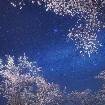 jingmo1013's profile picture. 