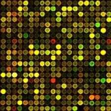 microarrays's profile picture. caffeine driven science nerd