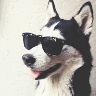 Fiinet's profile picture. Nací en 1994 y luego me cree una cuenta de Twitter.