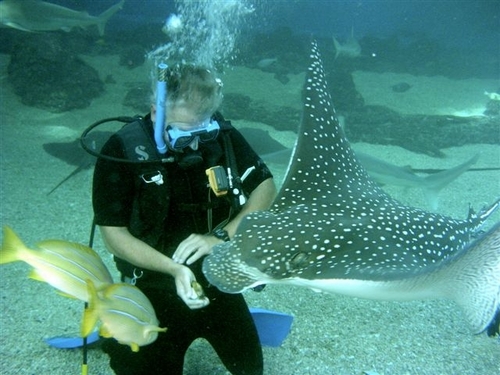 lodilaw's profile picture. 