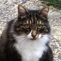 truffle π
π (@truffle_cat) 's Twitter Profile