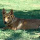 Diane Rush - @ditto25 - Twitter