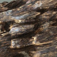 Agarwood OUD(@OUD_Valley_OUD) 's Twitter Profile Photo