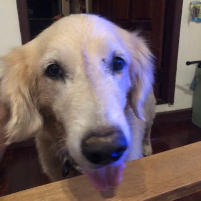 mazsass's profile picture. @KingsIoPPN graduate, Research on schizophrenia, social stress and urban living. Founder Reach Out Laos. Peace Corps volunteer. The Arsenal. Views my own. 🙂