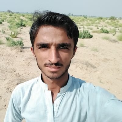 NasirAl24389149's profile picture. study