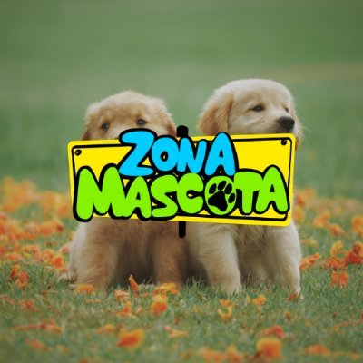 ZonamascotaM Profile Picture