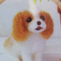 ヨアケノ (@yoursilentface7) Twitter profile photo