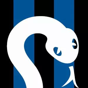 Notizie di calciomercato Inter