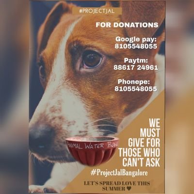 projectjal15's profile picture. charity organizations
A heart beats in animal as same as in us
Let's show someone cares♥️
For donation contact - 8861724961
