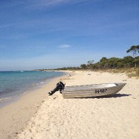 Ken Jacka (@kenjacka) 's Twitter Profile
