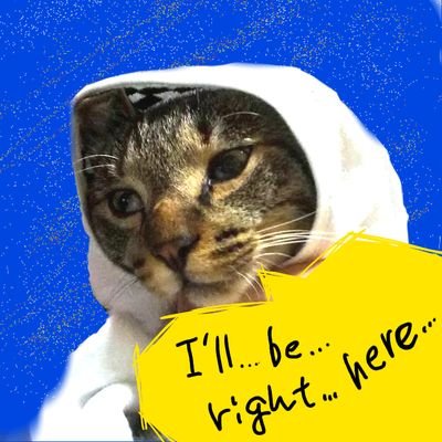 gupt14's profile picture. ねむたい🌛音楽とアートが好きです。
(たまに上げる🐈️は実家で飼ってるそら君といいます)