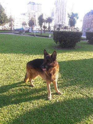 CamachEster's profile picture. 