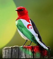 Those who deny freedom to others, do not deserve it for themselves. A blogger twitting for #WesternSahara freedom, #humanrights,  #humanthought & freedom to all
