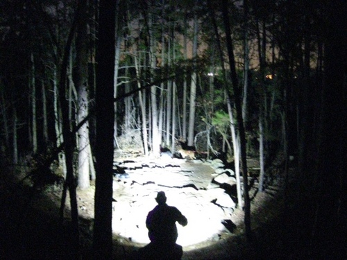 ElbertsonLights's profile picture. Created to help the average person find an above average flashlight.  If you want something we don't have, feel free to contact me and I'll get it for you.