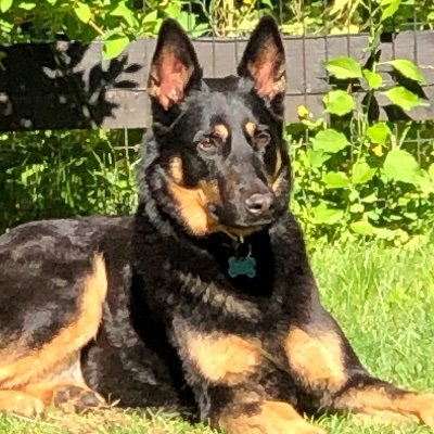 thousandwords27's profile picture. 