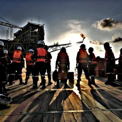 hobbswilliam7's profile picture. 