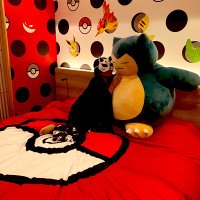Mizuho (@baguio8) 's Twitter Profile
