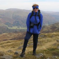 Sandra Anderson (@sandraa49197391) 's Twitter Profile
