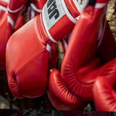 boxingfanatic18's profile picture. Boxing & family