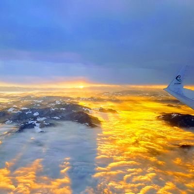 MilanSelinous's profile picture. 