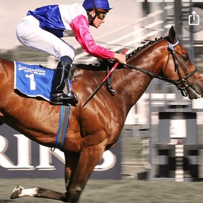 PunterVeezee's profile picture. Horse racing enthusiast (NOT a Tipster!) sharing my thoughts on races around the world with a focus on South African racing
