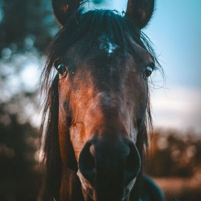 SsoEdit's profile picture. 💙édit on capcut💙