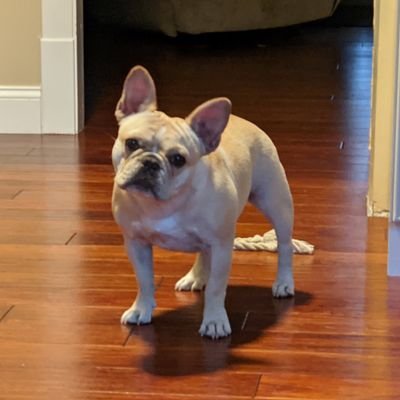 mdheinzer's profile picture. 