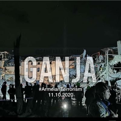 Metanet811's profile picture. #karabakhisazerbaijan 🇦🇿