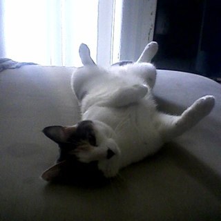 mreeree's profile picture. the time is now