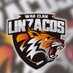Linzacos (@linzacos) Twitter profile photo Linzacos (@linzacos) Twitter profile photo