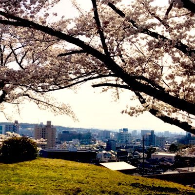 瀬戸のことを本気で考えている、愛知の学生です。瀬戸市にお住まいの方、瀬戸市で活動されてる方、積極的にフォローさせていただきます。よろしくお願いします。mj。https://t.co/REA67tG7E0