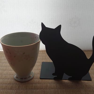 サンダルウッド 6izgjrjlymqrihz Twitter