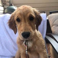 J Toliuszis (@grtputter) 's Twitter Profile