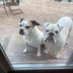 Stormie & Ms Opal (@ebucher1204) Twitter profile photo Stormie & Ms Opal (@ebucher1204) Twitter profile photo