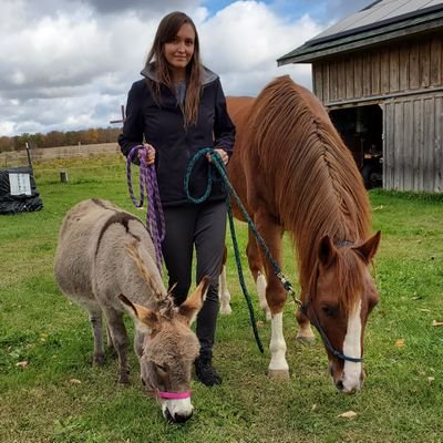 seventy7ashes's profile picture. Mama of 4. Upstate NY 5 acre farm. Seahawks 💙💚 & JDM 💕