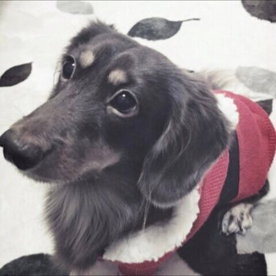 lolmやってます！ ミクチャで配信してます。 https://t.co/cXpdmgSrkc