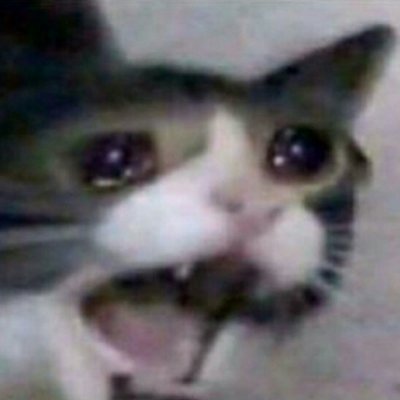 Direwolfy_'s profile picture. 