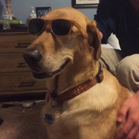 Law (@melkiperlll) 's Twitter Profile Photo Law (@melkiperlll) 's Twitter Profile Photo