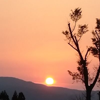 ラシャ 深海低浮上さんのプロフィール画像