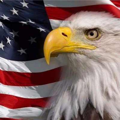 Alenealms's profile picture. America First