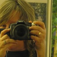 Denise Stark (@deestark) 's Twitter Profile